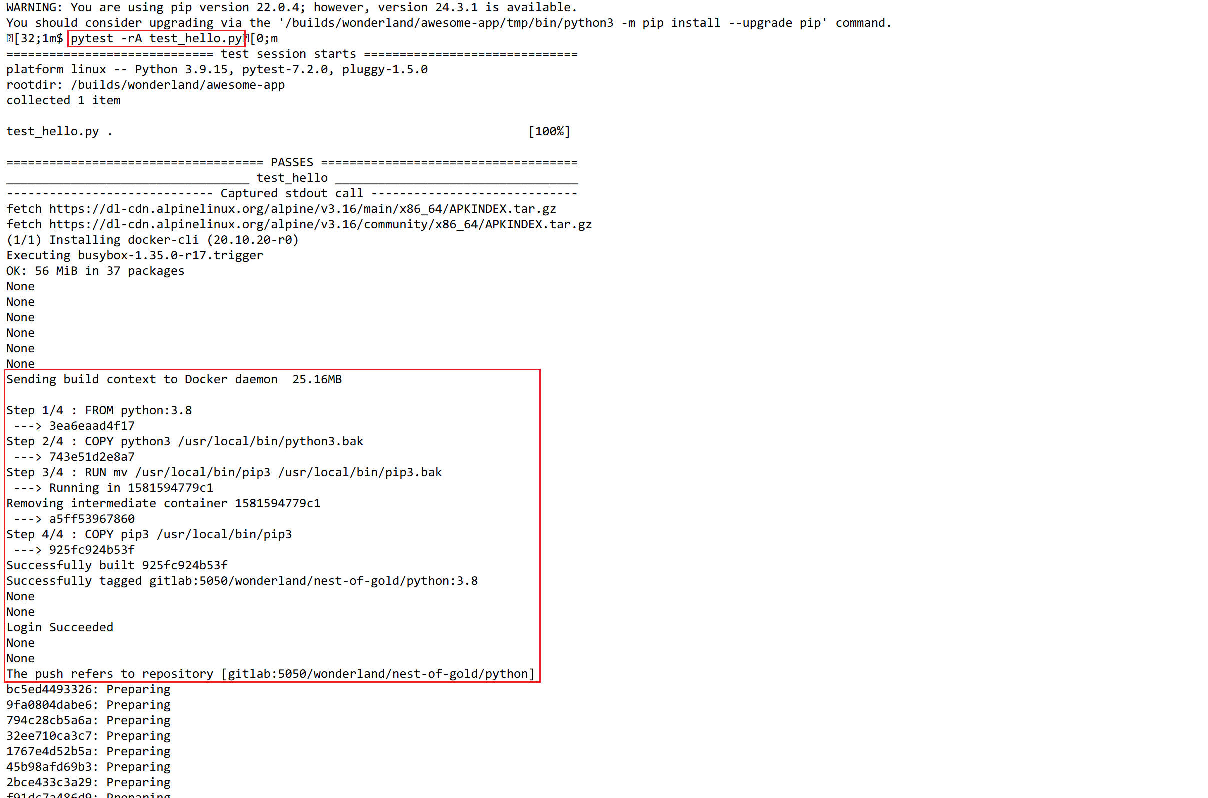 docker build & push while pytesting